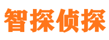 孟村外遇出轨调查取证